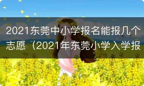 2021东莞中小学报名能报几个志愿（2021年东莞小学入学报名时间）