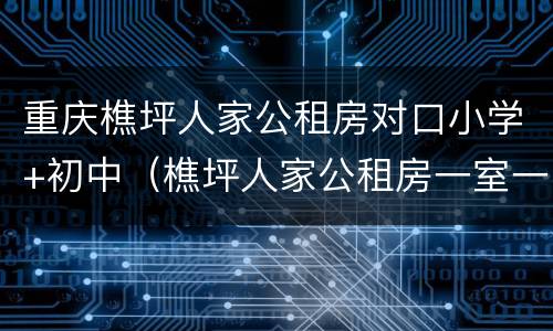 重庆樵坪人家公租房对口小学+初中（樵坪人家公租房一室一厅面积）