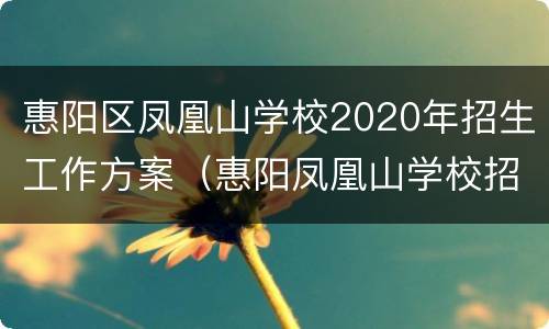 惠阳区凤凰山学校2020年招生工作方案（惠阳凤凰山学校招生电话）