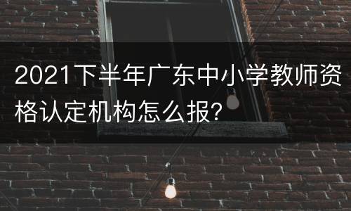 2021下半年广东中小学教师资格认定机构怎么报？