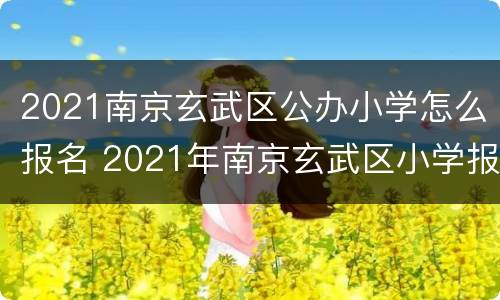 2021南京玄武区公办小学怎么报名 2021年南京玄武区小学报名时间