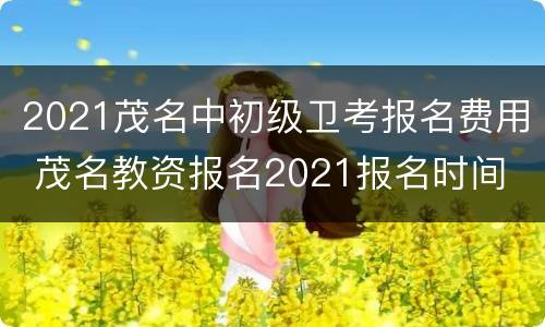 2021茂名中初级卫考报名费用 茂名教资报名2021报名时间