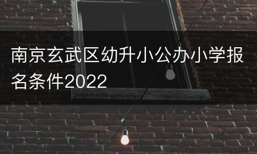 南京玄武区幼升小公办小学报名条件2022