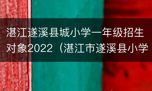 湛江遂溪县城小学一年级招生对象2022（湛江市遂溪县小学一年级报名公布时间）