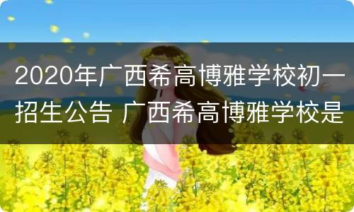 2020年广西希高博雅学校初一招生公告 广西希高博雅学校是公办还是民办