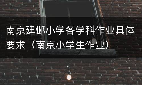 南京建邺小学各学科作业具体要求（南京小学生作业）