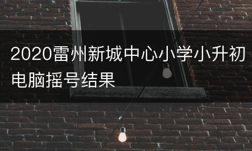 2020雷州新城中心小学小升初电脑摇号结果