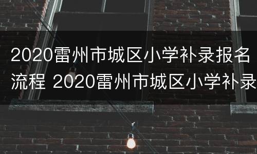 2020雷州市城区小学补录报名流程 2020雷州市城区小学补录报名流程表
