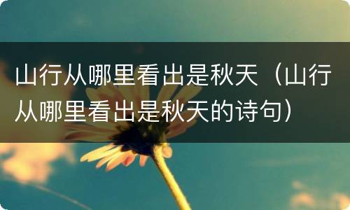 山行从哪里看出是秋天（山行从哪里看出是秋天的诗句）