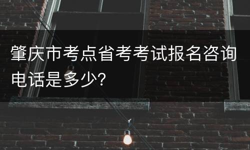 肇庆市考点省考考试报名咨询电话是多少？