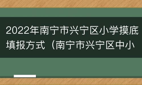 2022年南宁市兴宁区小学摸底填报方式（南宁市兴宁区中小学）