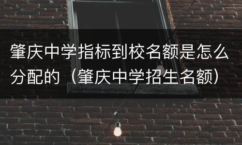 肇庆中学指标到校名额是怎么分配的（肇庆中学招生名额）