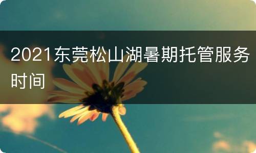 2021东莞松山湖暑期托管服务时间