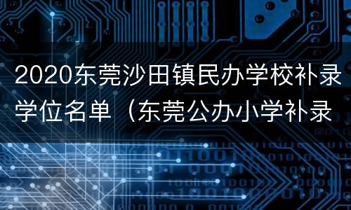 2020东莞沙田镇民办学校补录学位名单（东莞公办小学补录）