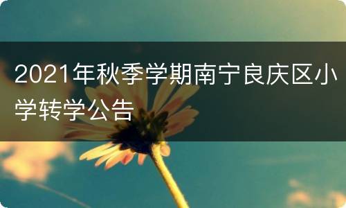 2021年秋季学期南宁良庆区小学转学公告