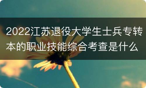 2022江苏退役大学生士兵专转本的职业技能综合考查是什么？