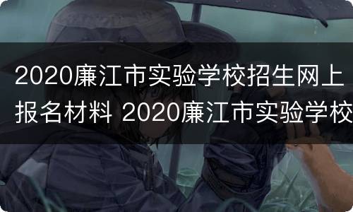 2020廉江市实验学校招生网上报名材料 2020廉江市实验学校招生网上报名材料有哪些