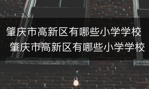 肇庆市高新区有哪些小学学校 肇庆市高新区有哪些小学学校名称