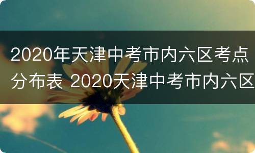 2020年天津中考市内六区考点分布表 2020天津中考市内六区人数