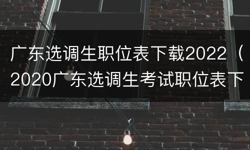 广东选调生职位表下载2022（2020广东选调生考试职位表下载）