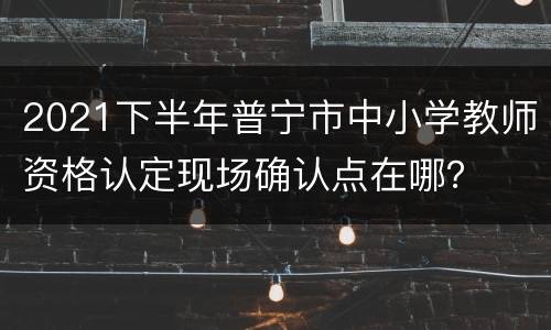 2021下半年普宁市中小学教师资格认定现场确认点在哪？