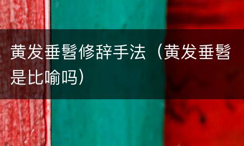 黄发垂髫修辞手法（黄发垂髫是比喻吗）