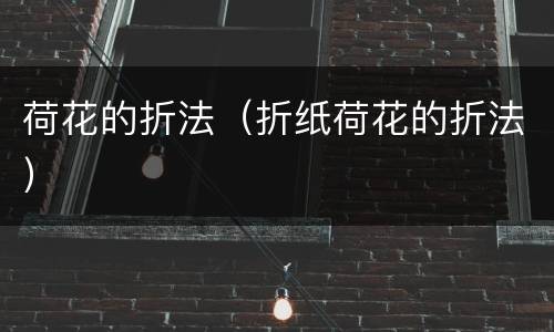 荷花的折法（折纸荷花的折法）