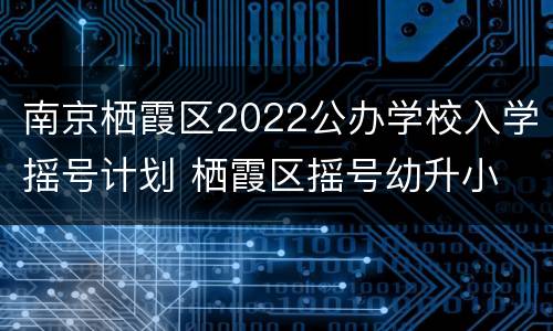 南京栖霞区2022公办学校入学摇号计划 栖霞区摇号幼升小