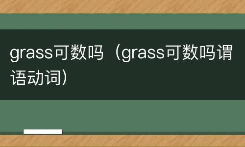 grass可数吗（grass可数吗谓语动词）