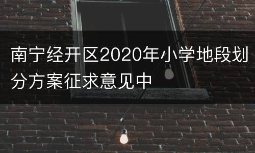 南宁经开区2020年小学地段划分方案征求意见中