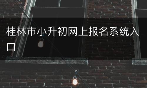 桂林市小升初网上报名系统入口