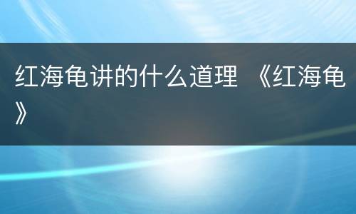 红海龟讲的什么道理 《红海龟》