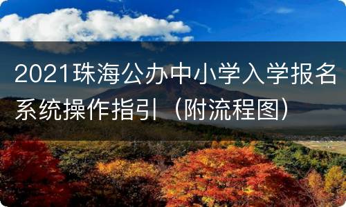 2021珠海公办中小学入学报名系统操作指引（附流程图）