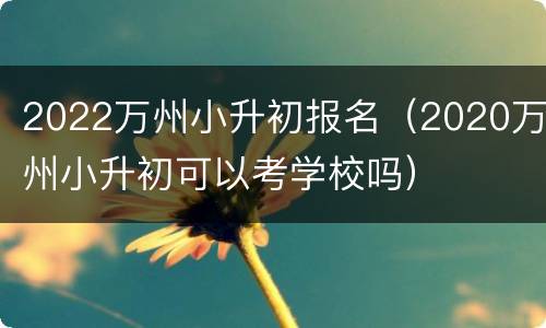 2022万州小升初报名（2020万州小升初可以考学校吗）