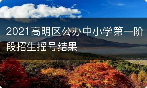 2021高明区公办中小学第一阶段招生摇号结果
