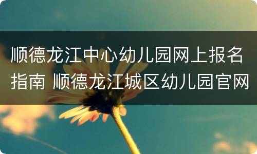 顺德龙江中心幼儿园网上报名指南 顺德龙江城区幼儿园官网