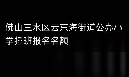 佛山三水区云东海街道公办小学插班报名名额