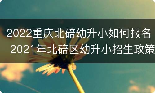 2022重庆北碚幼升小如何报名 2021年北碚区幼升小招生政策