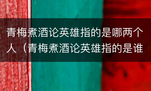 青梅煮酒论英雄指的是哪两个人（青梅煮酒论英雄指的是谁）