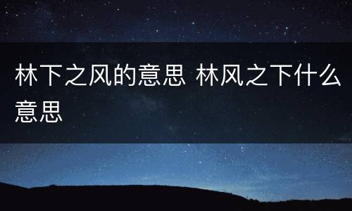 林下之风的意思 林风之下什么意思