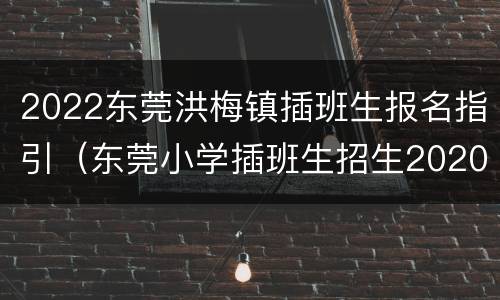 2022东莞洪梅镇插班生报名指引（东莞小学插班生招生2020）