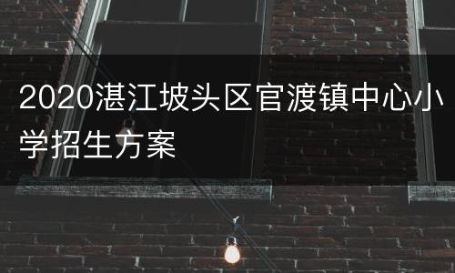 2020湛江坡头区官渡镇中心小学招生方案