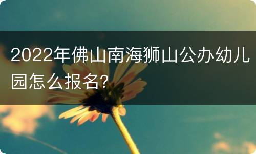 2022年佛山南海狮山公办幼儿园怎么报名？