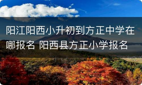 阳江阳西小升初到方正中学在哪报名 阳西县方正小学报名