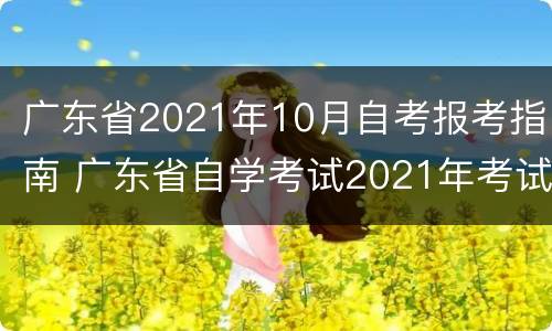 广东省2021年10月自考报考指南 广东省自学考试2021年考试计划