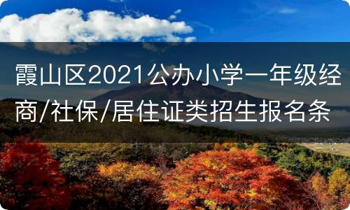 霞山区2021公办小学一年级经商/社保/居住证类招生报名条件