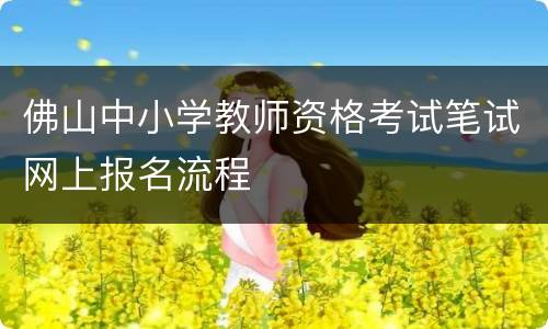 佛山中小学教师资格考试笔试网上报名流程