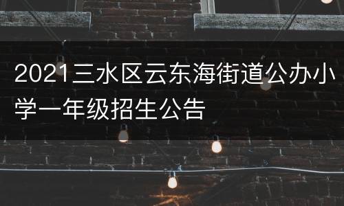 2021三水区云东海街道公办小学一年级招生公告