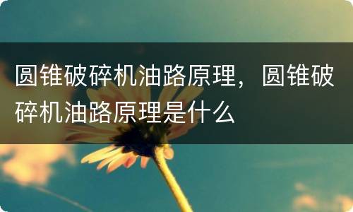 圆锥破碎机油路原理，圆锥破碎机油路原理是什么
