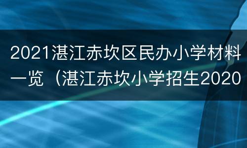 2021湛江赤坎区民办小学材料一览（湛江赤坎小学招生2020年）